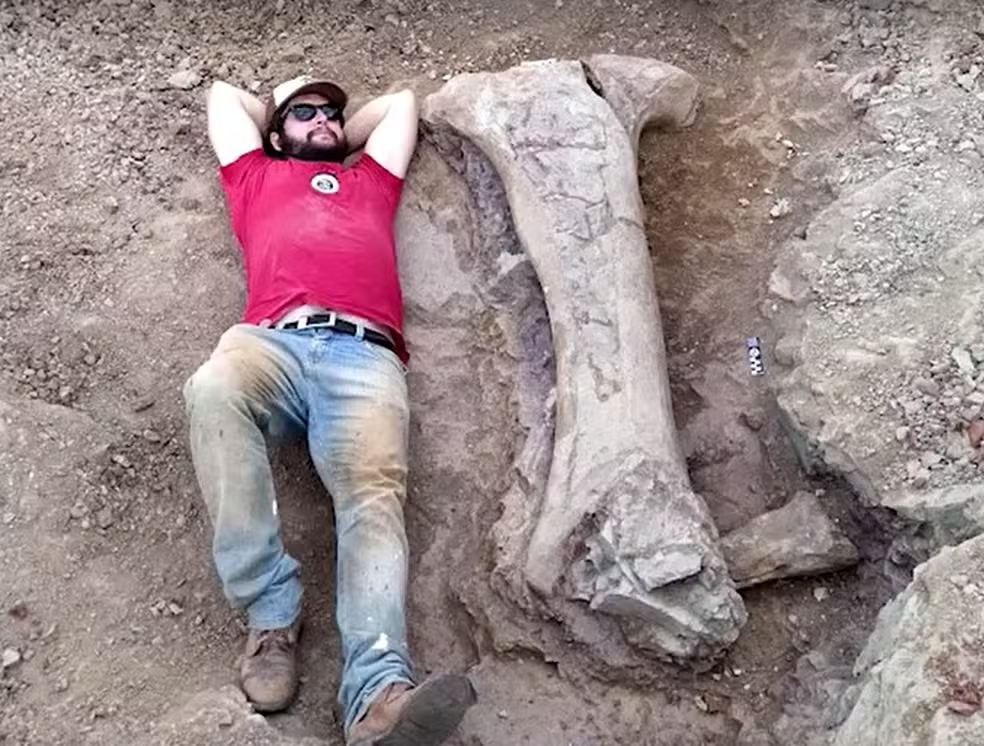 Cientistas descobrem nova espécie de dinossauro gigante no Brasil; fóssil foi achado em Davinópolis